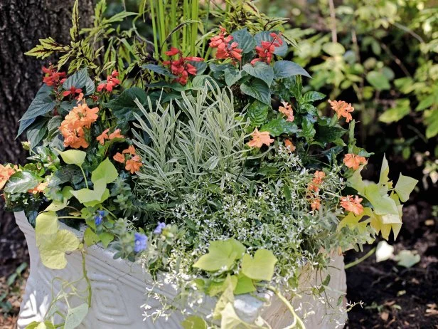 Container Garden