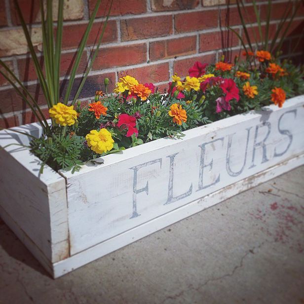 Distressed Gray Wooden Flower Box With Fleurs Print and Marigolds