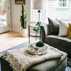 Transitional Living Room With Cactus