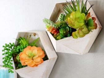 Cardboard Planter