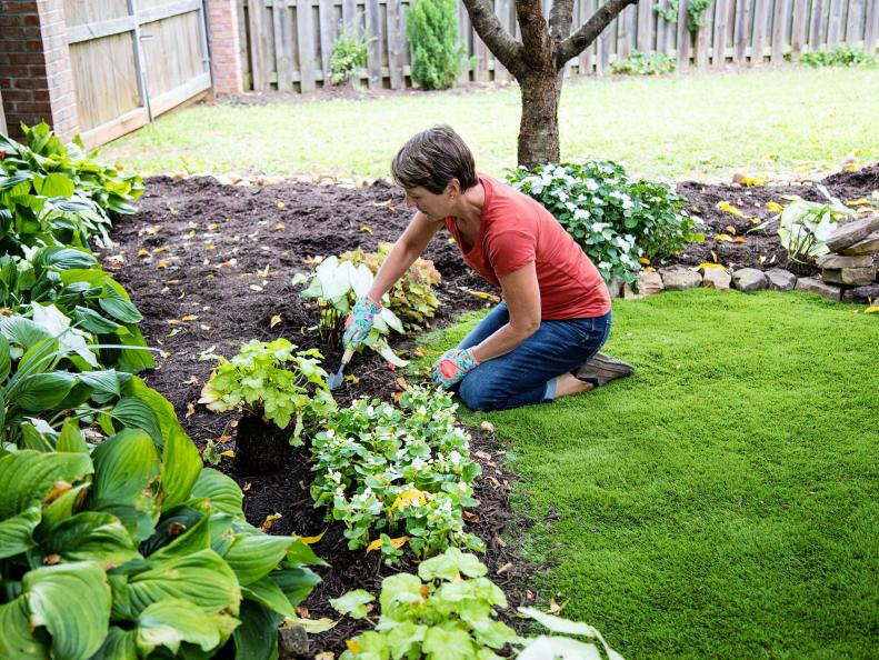 Planting Plants