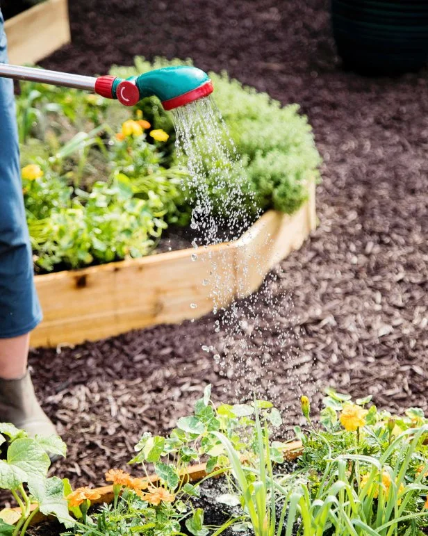 Learn how to harness the rain and create your own rain barrel watering system with our step-by-step instructions.