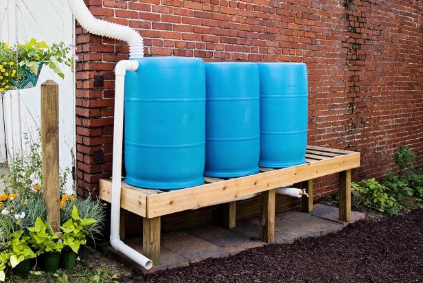 Don't let all that rainwater go to waste. Conserve lots of water (and save $$$) by building your own rain collection system right in the backyard.