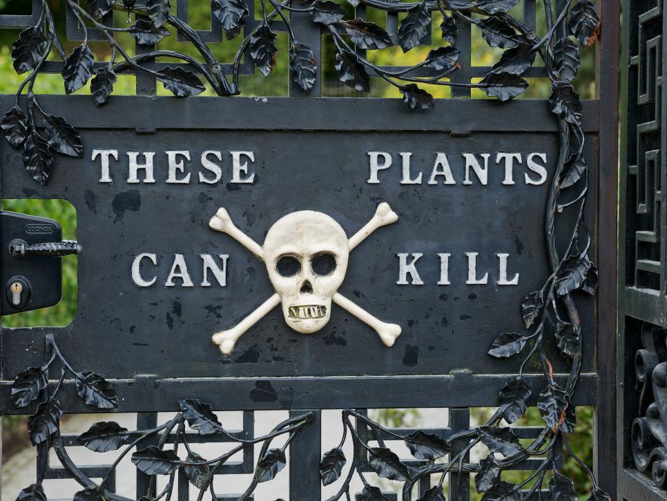 Jardin des plantes mortelles en Angleterre
