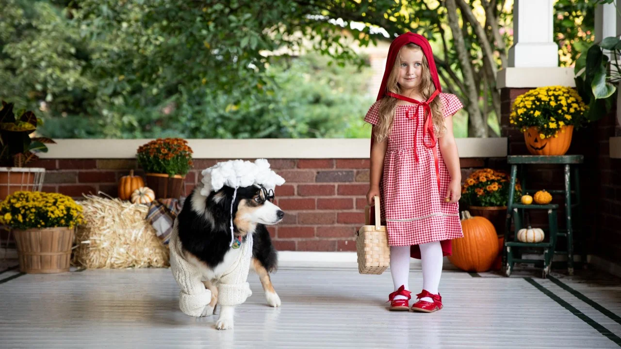 DIY Little Red Riding Hood and Big Bad Wolf Costume for a Girl and Dog HGTV