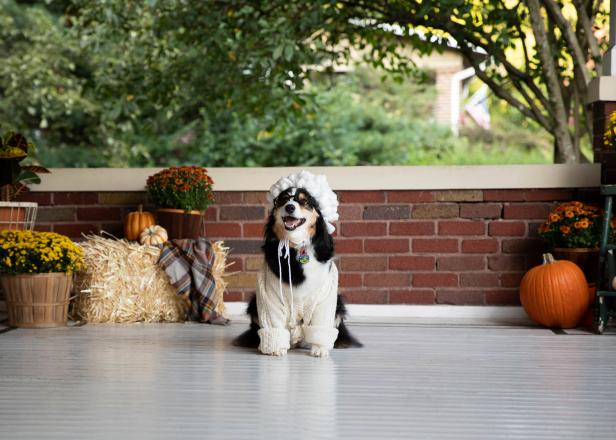 Diy Little Red Riding Hood And Big Bad Wolf Costume For A Girl And Dog Hgtv