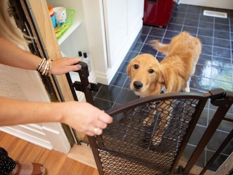 How to Properly Puppy-Proof Your House