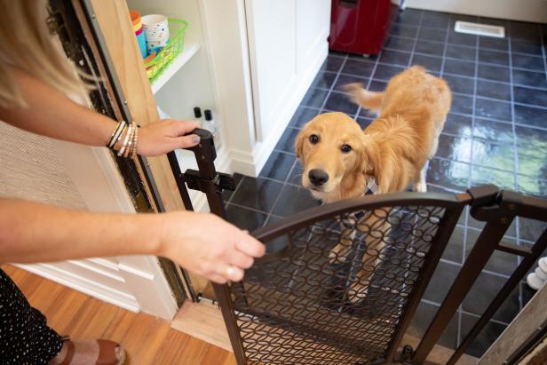 Pup-Proofing Your Home