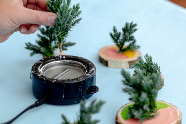 This small greenery cutting is dipped in hot glue and secured to small craft wood rounds for a miniature Christmas tree craft.