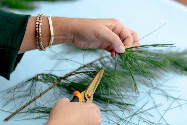 These pine needles are removed from the branch using pruning shears in order to be used is a Christmas decoration craft.