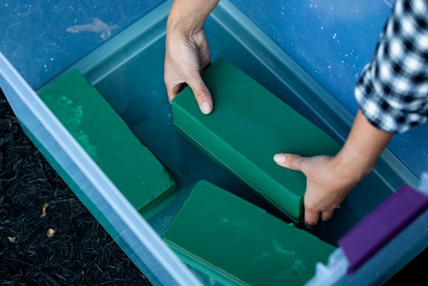 This floral foam is placed into a plastic bin filled with water in order to soak. The foam will be used to keep foraged greenery looking fresh for an extended period of time.