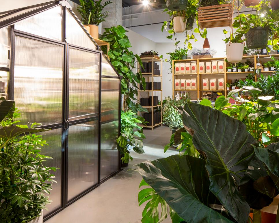 Indoor Greenhouse at The Victorian Atlanta Plant Store HGTV