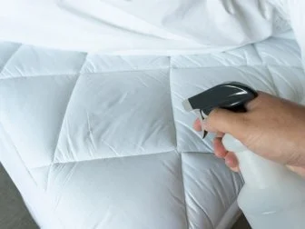 Use hydrogen peroxide to kill dust mites.