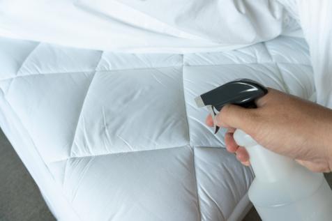 Did you know that cleaning your mattress is important? Not just
