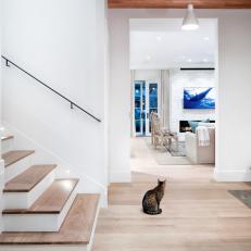 White Contemporary Living Area With Cat