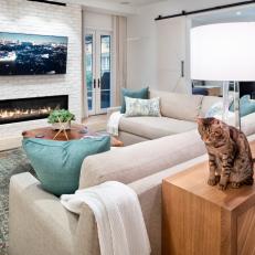 Transitional Neutral Living Room With Cat