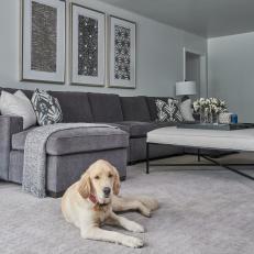 Gray Transitional Living Room With Dog