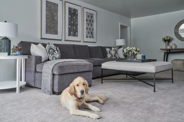 Gray Transitional Living Room and Dog