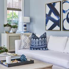 Blue Transitional Living Room With Succulents