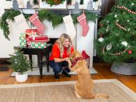 Make Sure Your Pet Has a Happy (+ Safe!) Holiday, Too