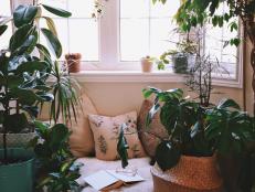 Cozy Book Nook with Houseplants Under Bright Bay Window
