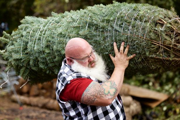 Host Albie Mushaney and his family search for a tree at a local Christmas tree farm, as seen on You'll Be Home for Christmas.
