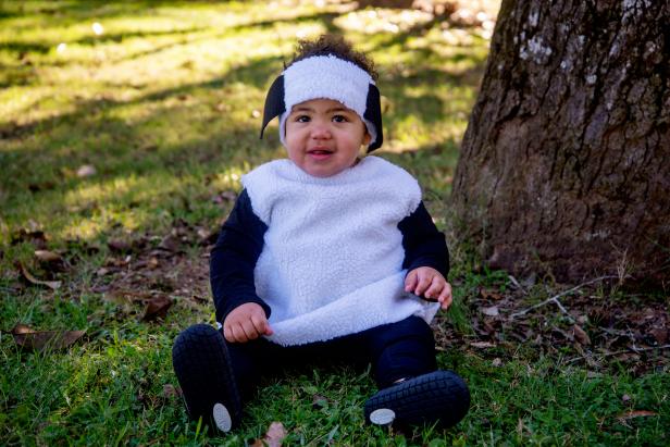 A baby in a lamb costume