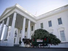 The White House Christmas Tree arrives at the North Portico of the White House in Washington, D.C., U.S., on Monday, Nov. 23, 2020. Oregon residents Dan and Anne Taylor of West's Tree Farm presented the Christmas Tree and the tree will be displayed in the White House Blue Room. Photographer: Sarah Silbiger/Bloomberg via Getty Images