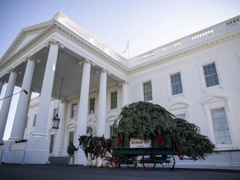HGTV's 'White House Christmas 2020' Airing December 13