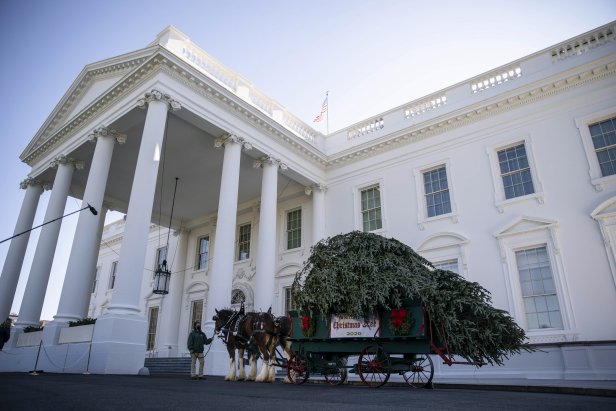 The White House Christmas Tree arrives at the North Portico of the White House in Washington, D.C., U.S., on Monday, Nov. 23, 2020. Oregon residents Dan and Anne Taylor of West's Tree Farm presented the Christmas Tree and the tree will be displayed in the White House Blue Room. Photographer: Sarah Silbiger/Bloomberg via Getty Images