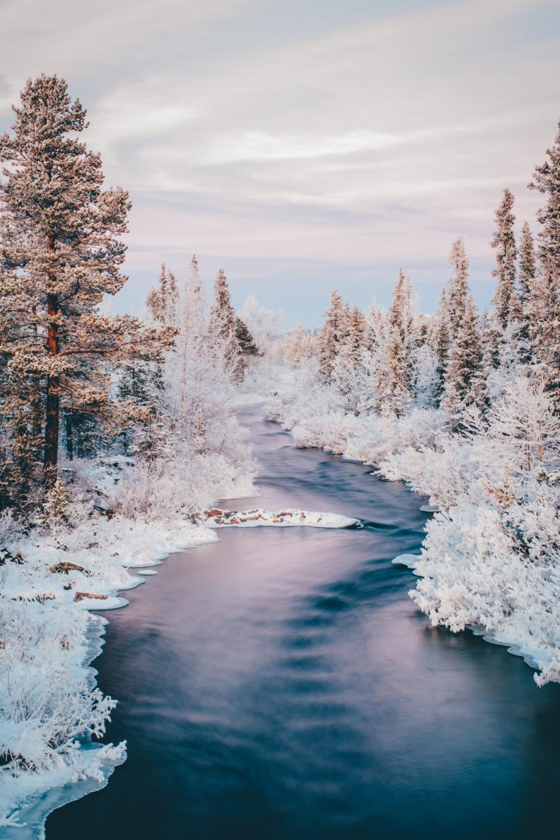A river winds through snowbanks with snow-covered evergreens.
