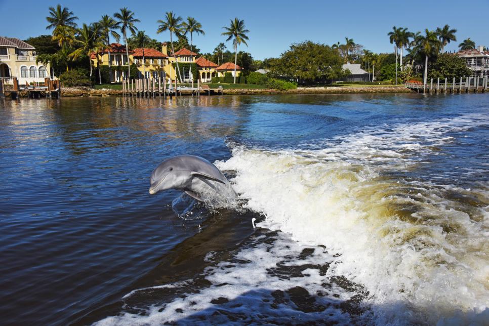 The Best Beaches in Florida | HGTV