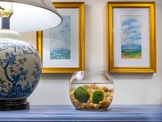 Learn what marimo moss balls are, how to grow them, where to buy them and — best of all — why you need them in your life.