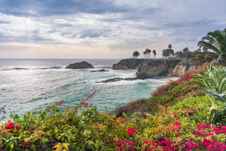 Laguna Beach in Southern California with flowers and cliff.