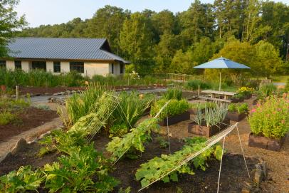 Botanica brings organic, edible gardens home