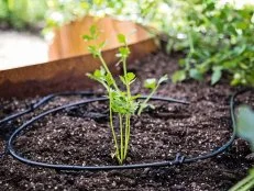 WTG 1400 Drip Irrigation