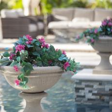 Container Gardens and Pool