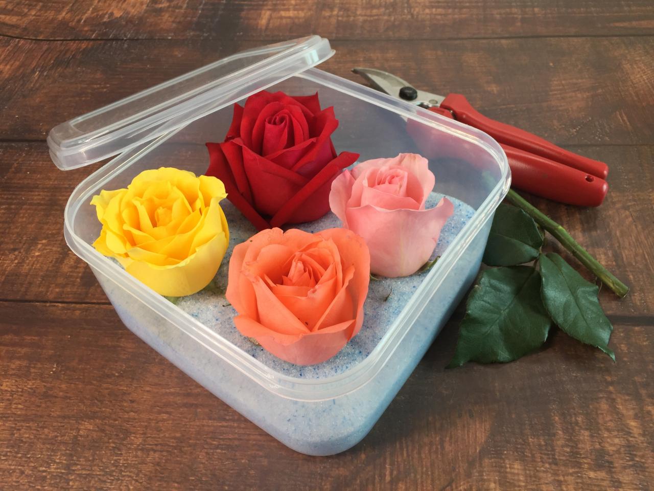 How To Dry Flowers And Preserve Their Color