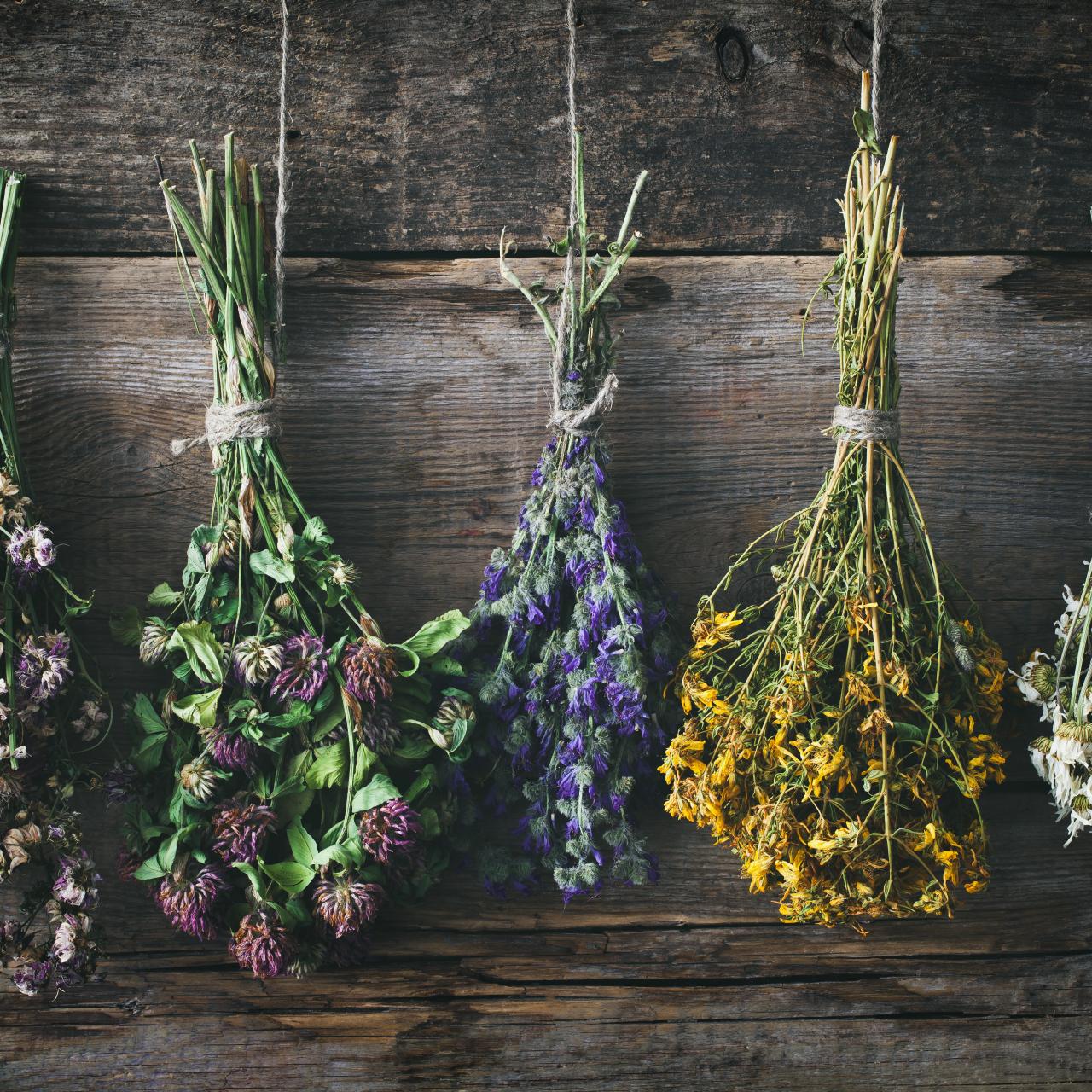 How To Preserve Flowers By Drying