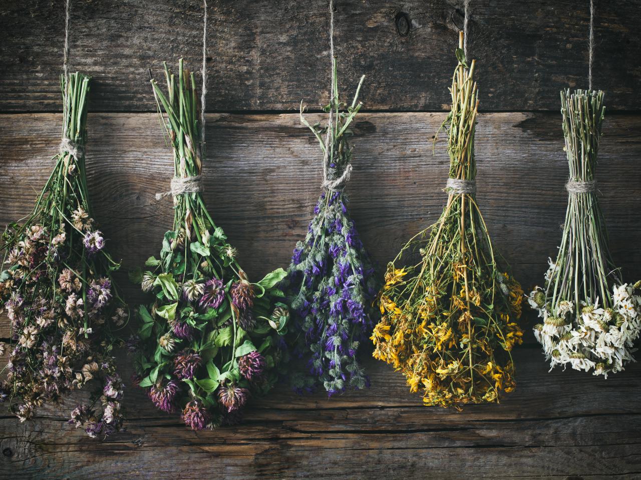 5 ways to dry fresh flowers
