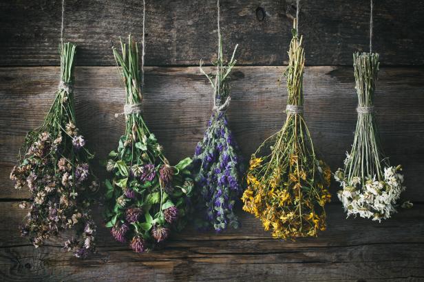 how to dry flowers