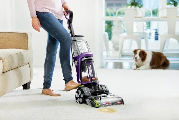 The Best Floor and Carpet Cleaners for Pets 2021 | Decor Trends ...