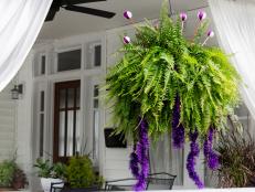 Hanging Boston ferns are a front porch staple that are easy to transform into hovering aliens in time for Halloween. Our tutorial will help you inexpensively magic up a googly-eyed alien in a flash.