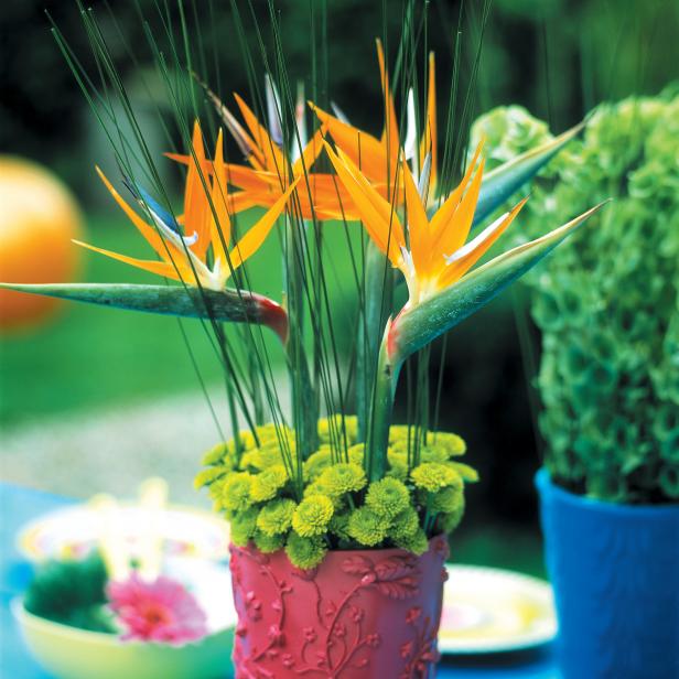 Flower Bouquet With Tropical Color