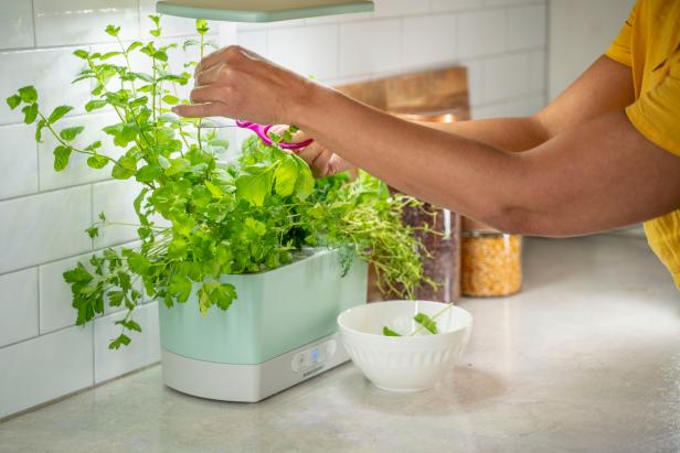 herb garden kit indoor