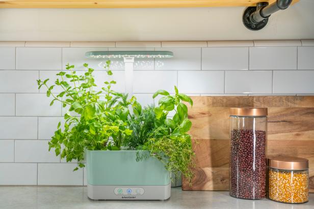 The Best Indoor Herb Garden In 2021 Hgtv