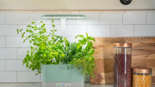 <center>12 Useful Products for Growing, Preserving + Cooking With Herbs