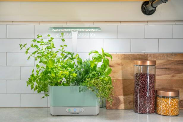 Indoor Herb Garden With Light Sitting on Kitchen Counter Top