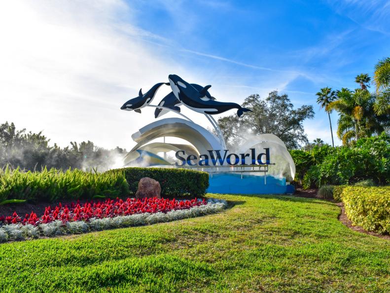 Arkansans are traveling across the country to Orlando, Florida, where they can enjoy the coastal city or Disney World, Sea World or Universal Studios.