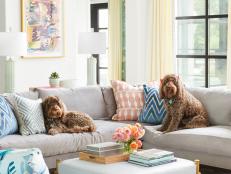 Gray Sectional With Two Dogs